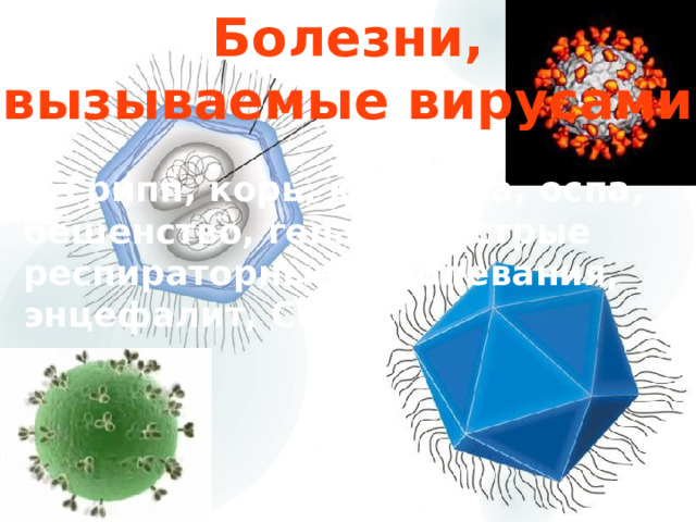 Болезни, вызываемые вирусами Грипп, корь, краснуха, оспа, бешенство, гепатит, острые респираторные заболевания, энцефалит, СПИД. 