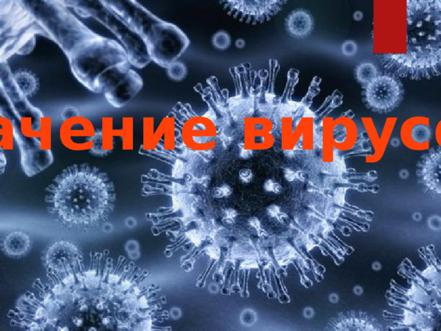 Значение вирусов? 