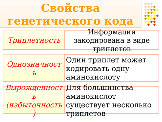 Свойства генетического кода Триплетность Информация закодирована в виде триплетов Однозначность Один триплет может кодировать одну аминокислоту Вырожденность (избыточность) Для большинства аминокислот существует несколько триплетов 