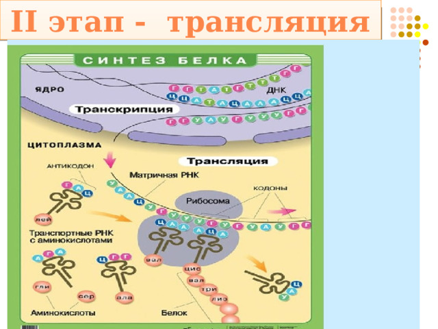II этап - трансляция 