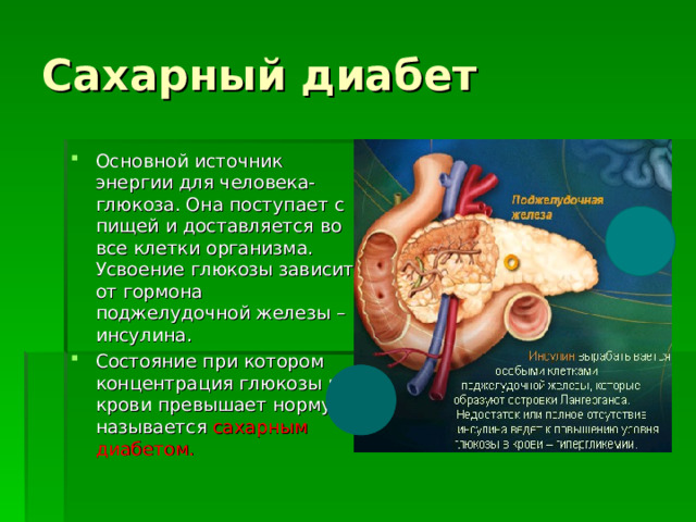 Сахарный диабет Основной источник энергии для человека- глюкоза. Она поступает с пищей и доставляется во все клетки организма. Усвоение глюкозы зависит от гормона поджелудочной железы – инсулина. Состояние при котором концентрация глюкозы в крови превышает норму- называется сахарным диабетом. Какой гормон контролирует усвоение глюкозы ? Какая железа вырабатывает гормон инсулин ? Когда возникает заболевание сахарный диабет ?   