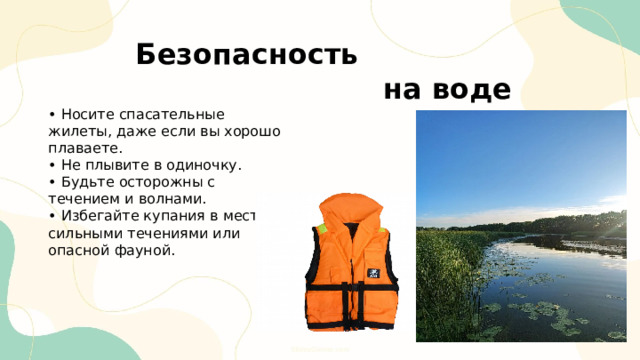  Безопасность  на воде • Носите спасательные жилеты, даже если вы хорошо плаваете. • Не плывите в одиночку. • Будьте осторожны с течением и волнами. • Избегайте купания в местах с сильными течениями или опасной фауной. 
