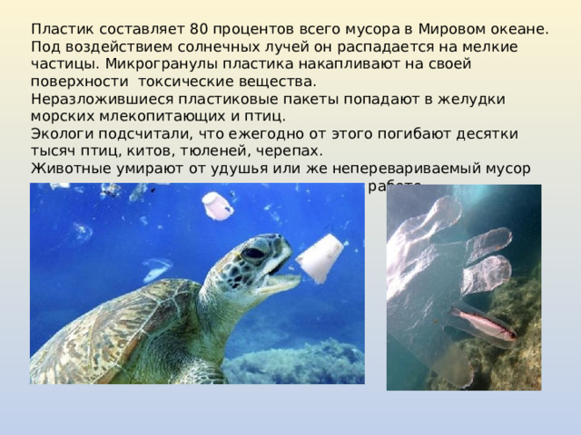 Пластик составляет 80 процентов всего мусора в Мировом океане. Под воздействием солнечных лучей он распадается на мелкие частицы. Микрогранулы пластика накапливают на своей поверхности токсические вещества. Неразложившиеся пластиковые пакеты попадают в желудки морских млекопитающих и птиц. Экологи подсчитали, что ежегодно от этого погибают десятки тысяч птиц, китов, тюленей, черепах. Животные умирают от удушья или же неперевариваемый мусор накапливается в их желудках и мешает их работе. 