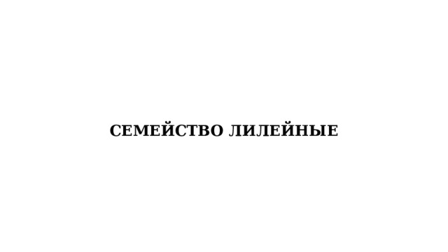 СЕМЕЙСТВО ЛИЛЕЙНЫЕ 