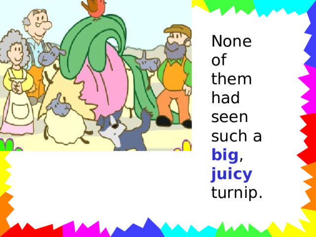 None of them had seen such a big , juicy turnip. 