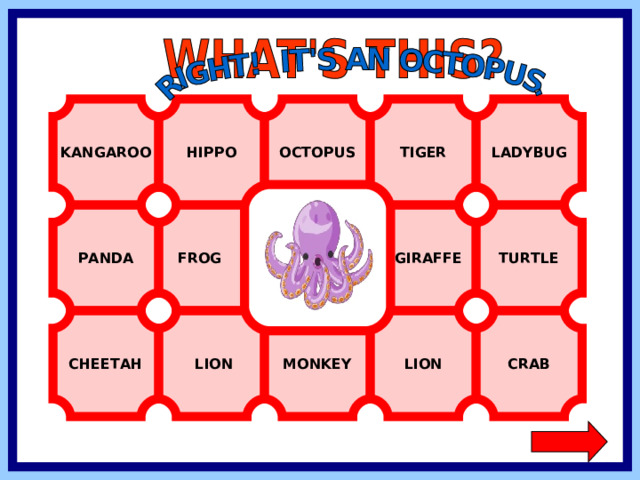 OCTOPUS KANGAROO HIPPO TIGER LADYBUG FROG  GIRAFFE TURTLE PANDA CHEETAH CRAB LION MONKEY  LION  