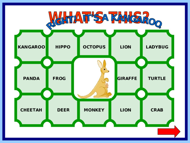 KANGAROO LADYBUG HIPPO OCTOPUS LION FROG  GIRAFFE TURTLE PANDA CHEETAH CRAB LION MONKEY  DEER  
