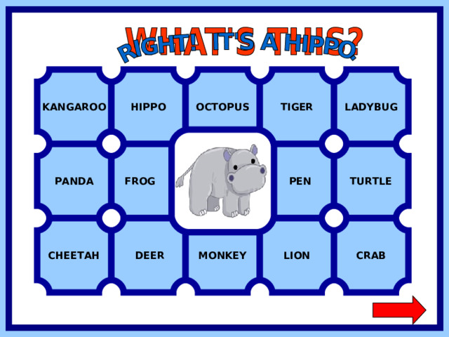 HIPPO KANGAROO OCTOPUS TIGER LADYBUG FROG  PEN TURTLE PANDA CHEETAH CRAB LION MONKEY  DEER  