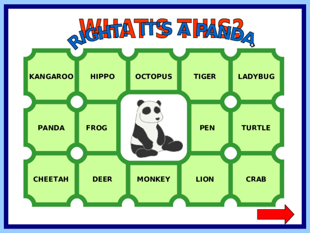 KANGAROO HIPPO OCTOPUS TIGER LADYBUG PANDA FROG  PEN TURTLE CHEETAH CRAB LION MONKEY DEER  