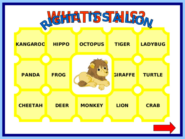 KANGAROO HIPPO OCTOPUS TIGER LADYBUG FROG  GIRAFFE TURTLE PANDA LION CHEETAH CRAB MONKEY  DEER  