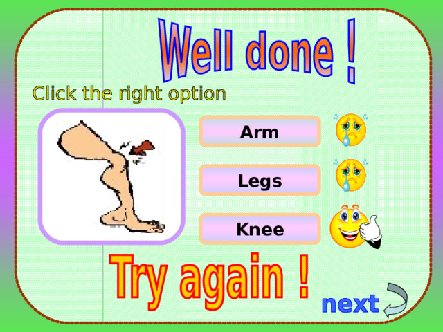 Arm Legs Knee 12 