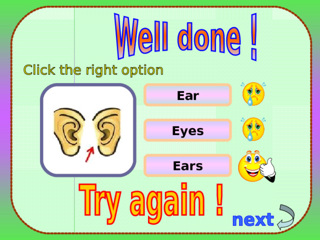 Ear Eyes Ears 5 
