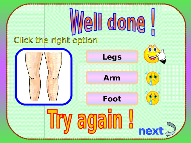 Legs Arm Foot 5 