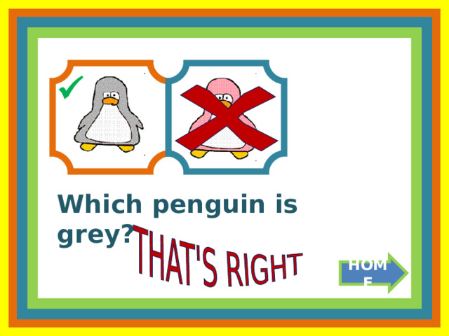  Which penguin is grey? HOME 