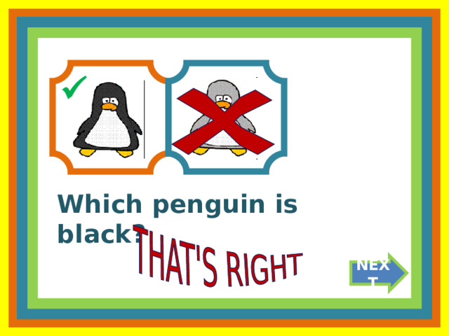  Which penguin is black? NEXT 