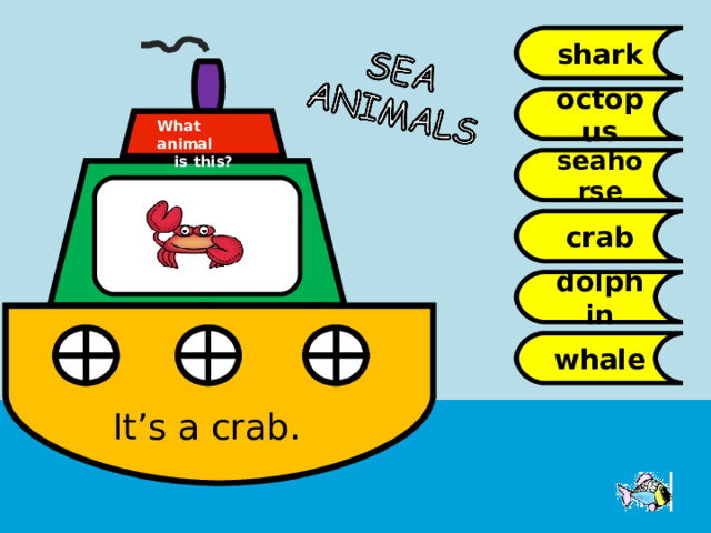 shark octopus What animal  is this? seahorse crab dolphin whale It’s a crab. 
