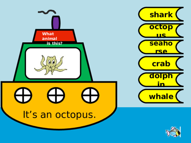 shark octopus What animal  is this? seahorse crab dolphin whale It’s an octopus. 