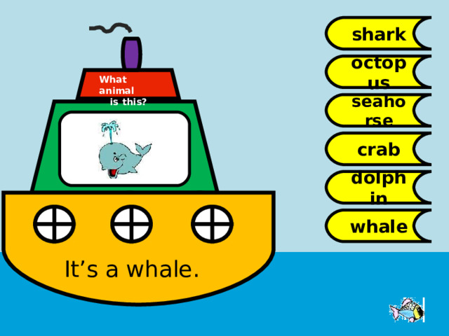 shark octopus What animal  is this? seahorse crab dolphin whale It’s a whale. 