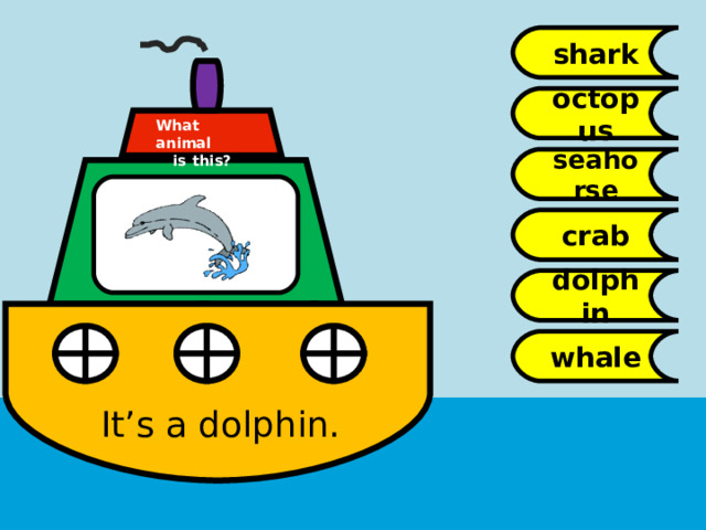 shark octopus What animal  is this? seahorse crab dolphin whale It’s a dolphin. 
