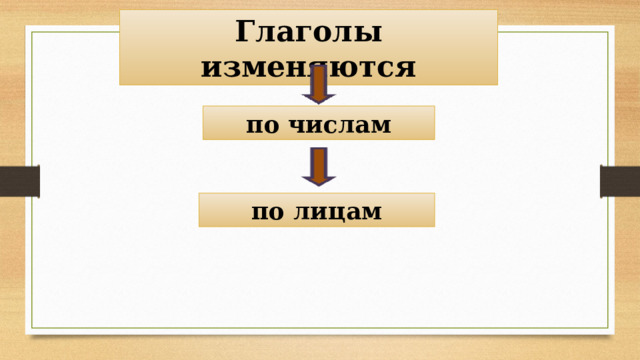 Глаголы изменяются по числам по лицам 