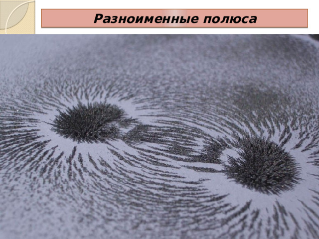 Разноименные полюса 