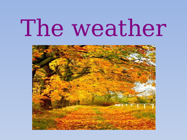The weather 
