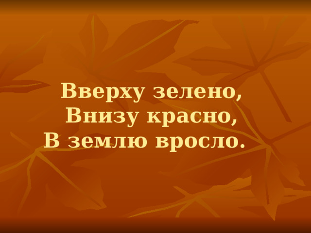 Вверху зелено,  Внизу красно,  В землю вросло. 