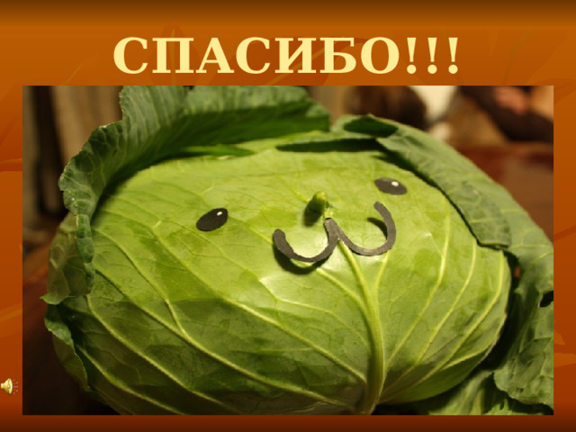 СПАСИБО!!! 