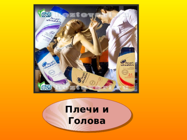 Плечи и Голова 