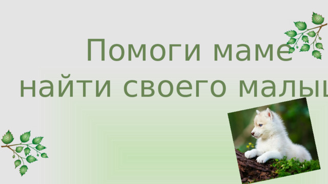  Помоги маме  найти своего малыша 