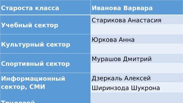 Староста класса Иванова Варвара Учебный сектор Старикова Анастасия Культурный сектор Юркова Анна Спортивный сектор Мурашов Дмитрий Информационный сектор, СМИ  Дзеркаль Алексей Ширинзода Шукрона Трудовой  
