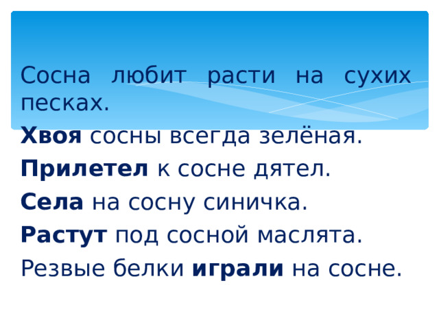 Сосна любит расти на сухих песках. Хвоя сосны всегда зелёная. Прилетел к сосне дятел. Села на сосну синичка. Растут под сосной маслята. Резвые белки играли на сосне. 