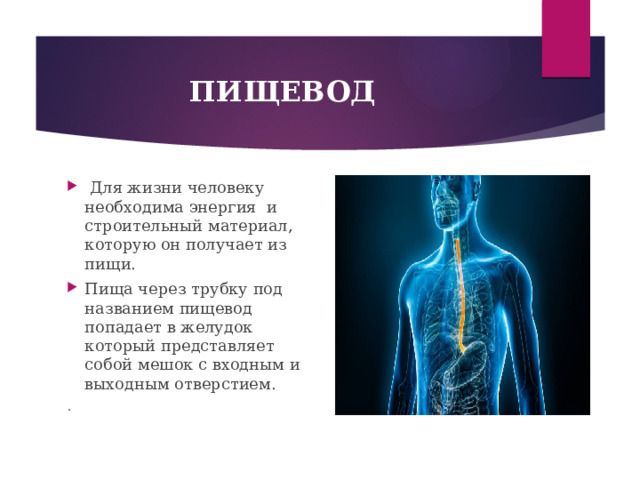 ПИЩЕВОД  Для жизни человеку необходима энергия и строительный материал, которую он получает из пищи. Пища через трубку под названием пищевод попадает в желудок который представляет собой мешок с входным и выходным отверстием. . 