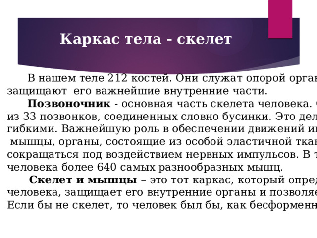 Каркас тела - скелет  В нашем теле 212 костей. Они служат опорой организму и защищают его важнейшие внутренние части.  Позвоночник - основная часть скелета человека. Он состоит из 33 позвонков, соединенных словно бусинки. Это делает нас гибкими. Важнейшую роль в обеспечении движений играют  мышцы, органы, состоящие из особой эластичной ткани, способной сокращаться под воздействием нервных импульсов. В теле человека более 640 самых разнообразных мышц.  Скелет и мышцы – это тот каркас, который определяет форму человека, защищает его внутренние органы и позволяет двигаться. Если бы не скелет, то человек был бы, как бесформенная медуза.  
