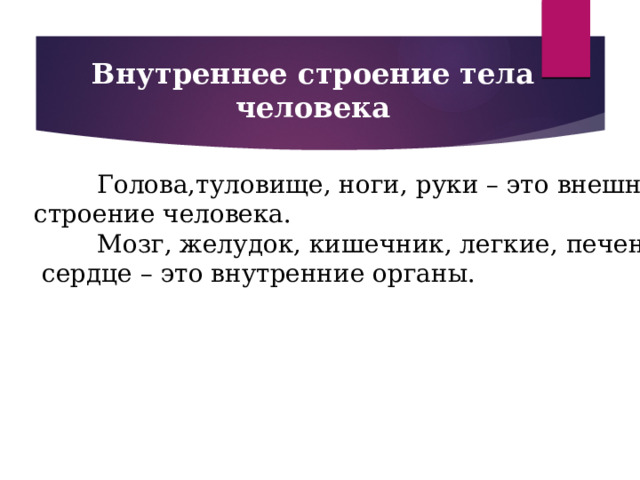 Внутреннее строение тела человека  Голова,туловище, ноги, руки – это внешнее строение человека.  Мозг, желудок, кишечник, легкие, печень, почки,  сердце – это внутренние органы.  
