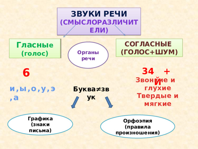 Звуки речи (смыслоразличители) Гласны е Согласные (голос) (голос+шум) Органы речи 6 34 + Й Звонкие и глухие Твердые и мягкие и,ы,о,у,э,а Буква≠звук Графика (знаки письма) Орфоэпия (правила произношения) 