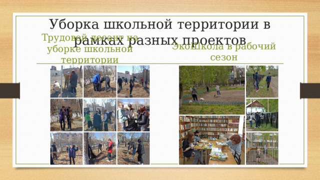 Уборка школьной территории в рамках разных проектов Трудовой десант на уборке школьной территории ЭкоШкола в рабочий сезон 