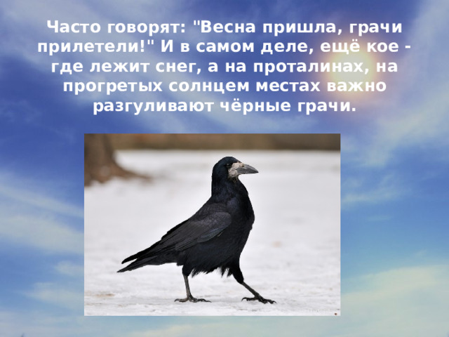 Часто говорят: 