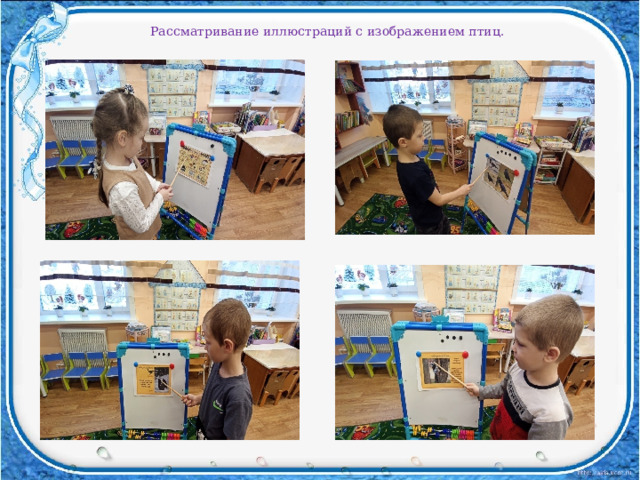 Рассматривание иллюстраций с изображением птиц. 