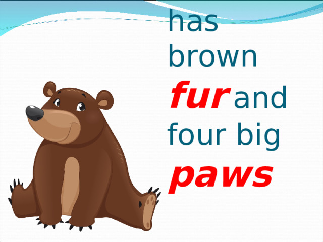 A bear has brown fur  and  four big paws 