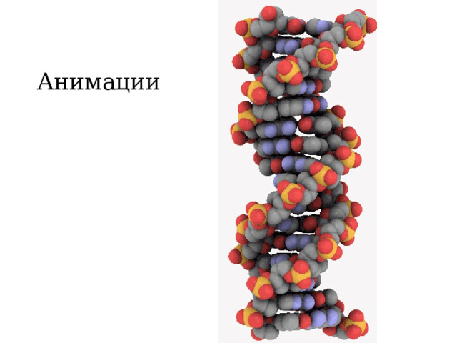 Анимации 