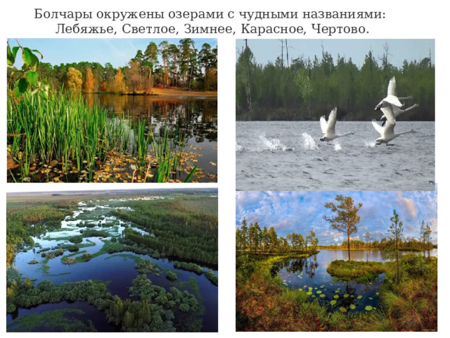 Болчары окружены озерами с чудными названиями:  Лебяжье, Светлое, Зимнее, Карасное, Чертово. 