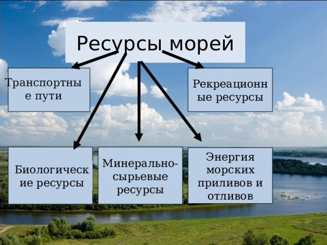 Ресурсы морей Рекреационные ресурсы Транспортные пути Минерально-сырьевые ресурсы Энергия морских приливов и отливов Биологические ресурсы 
