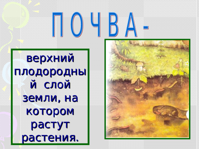 верхний плодородный слой земли, на котором растут растения. 