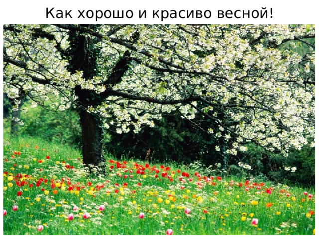 Как хорошо и красиво весной! Весной природа пробуждается ото сна. Весенние ручьи, пение птиц, появление первых цветов – всё это поистине маленькие чудеса, которые каждый год радуют нас, как в первый раз.  