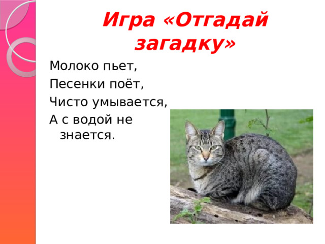 Игра «Отгадай загадку» Молоко пьет, Песенки поёт, Чисто умывается, А с водой не знается. 