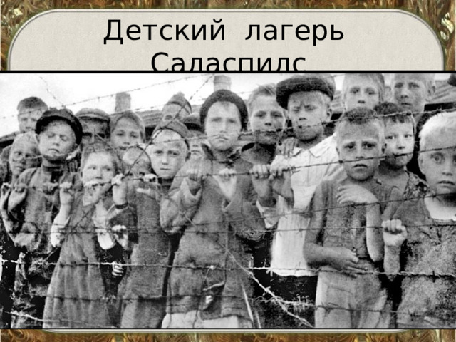 Детский лагерь Саласпилс 