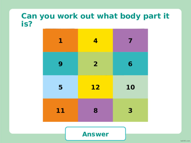 Can you work out what body part it is? 7 9 1 3 11 16 15 14 13 5 2 6 4 12 8 10 hair Answer 