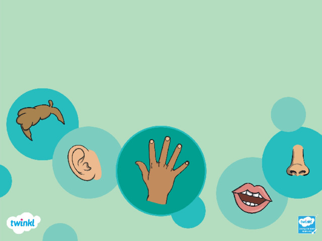 Can you work out what body part it is? 12 4 11 7 9 15 16 3 10 6 1 13 2 14 5 8 mouth Answer 