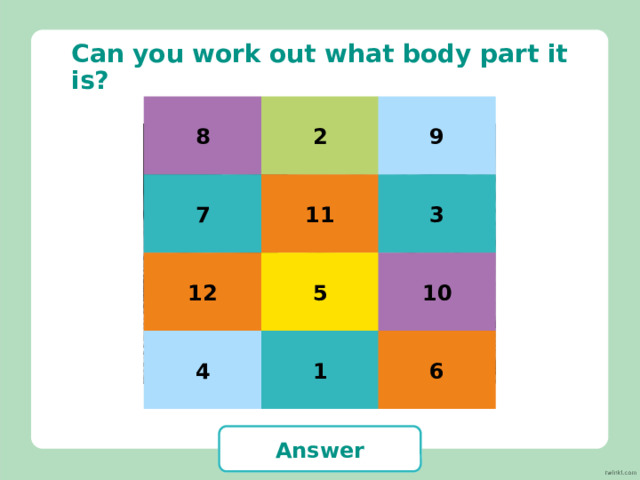 Can you work out what body part it is? 5 3 9 12 10 13 6 1 8 14 15 2 7 11 16 4 eyes Answer 